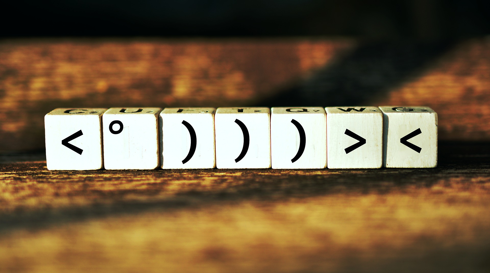 LITTLE FISH, BIG FISH. COACHEN VOORBIJ HET EGO